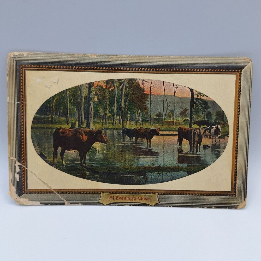 Vintage National Series Postcard At Evenings Close Pastoral Cows Water Scene Old